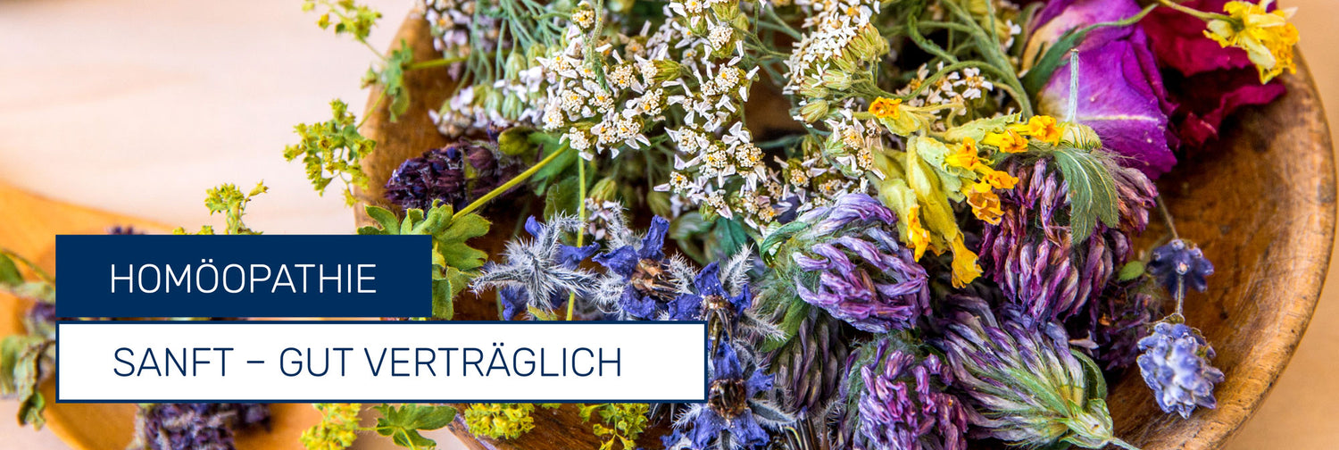 Sliderfoto Heilkräuter mit Titelmotto Homöopathie sanft und verträglich